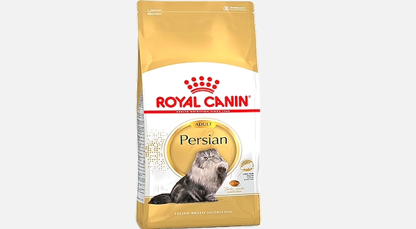 أكل قطط رويال كانين persian للقطط الكبيرة حجم 2 كيلو جرام
