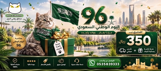 عروض اليوم الوطني السعودي شحن مجاني + هديه مجانية عند الطلب ب350 ريال أو أكثر
